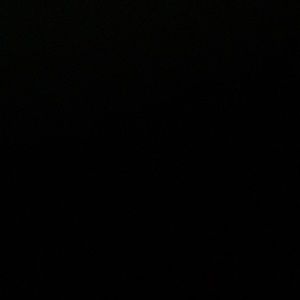 Meet your Posher, Maximillian